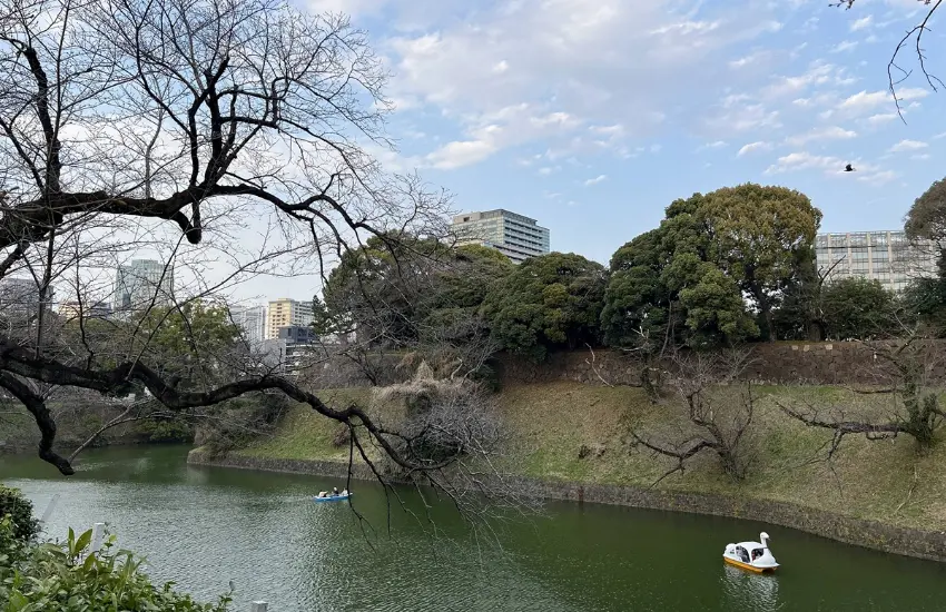 ▲整條步道像是被柔軟的光包圍,從半藏門一路延伸到九段下,有人站在橋上拍照,有人排隊等著划船,也有人只是沿著櫻花步道慢慢散步。