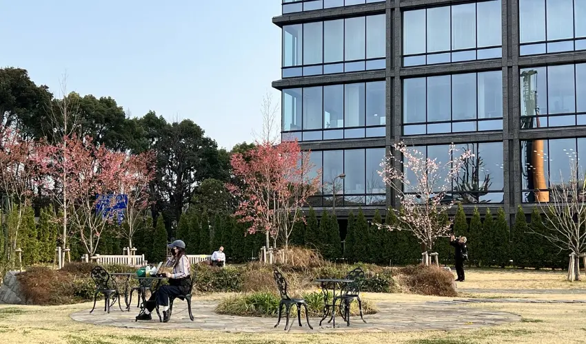 ▲東京有很多漂亮的咖啡館,它不像觀光店,店內客人多半是附近居民、出版社上班族或熟客,有人帶著書坐一個早上,有人和朋友聊天,也有人只是快速吃完早餐就離開。