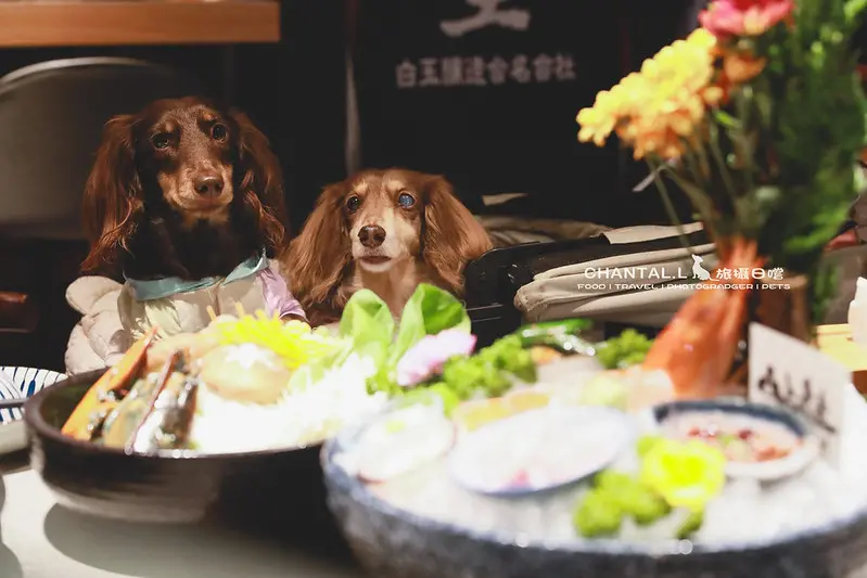 ▲【東區/美食】高級食材×平實空間×寵物友善的新竹無菜單日式海鮮鍋－山上走走日式鍋物