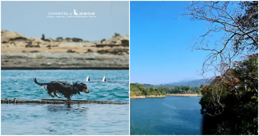 ▲不需搭船也能輕鬆登島!「和平島」、「日新島」開車、步行吊橋即可抵達,一日來回輕鬆無負擔。