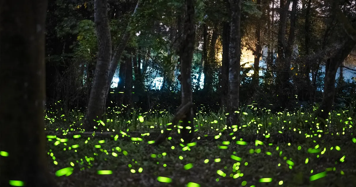 2026春季旅遊首選！福華大飯店「山湖城」跨區專案9999元任選3晚。