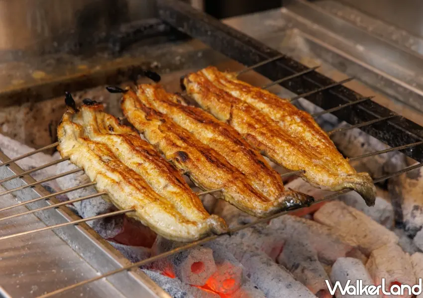 ▲堅持傳承90年職人工藝，選用頂級青鰻搭配備長炭直火現烤，鎖住鮮美肉質並呈現誘人外皮焦香。