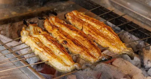 半價鰻魚飯先衝！うなぎ四代目菊かわ插旗台中漢神洲際，限定必吃推薦。