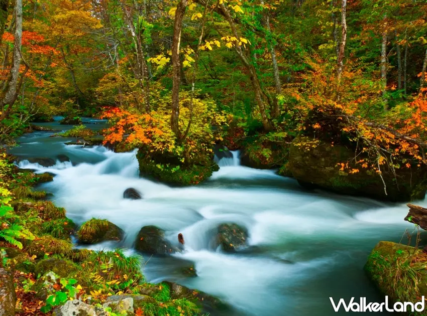 ▲日本青森具備療癒型慢旅條件，適合搭配北海道或仙台規劃多城玩法的旅遊行程 。圖／易遊網提供；窩客島整理