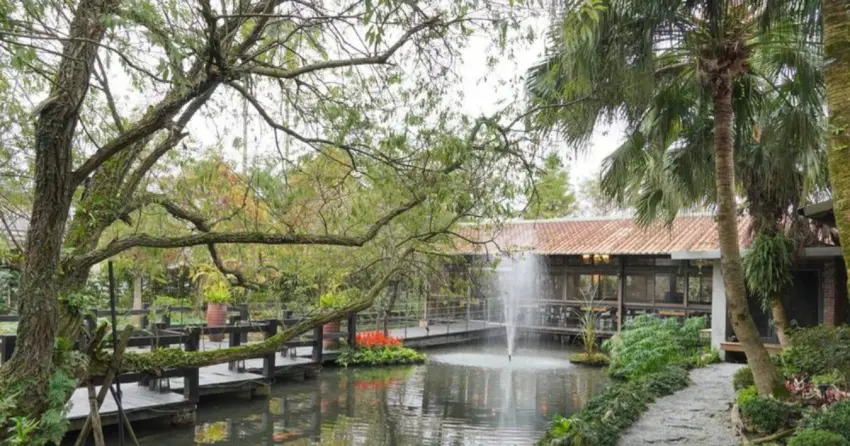 ▲「大洲魚寮」隱身於充滿日式禪意的庭園之中,池水與綠意相伴,用餐氛圍雅緻靜謐。