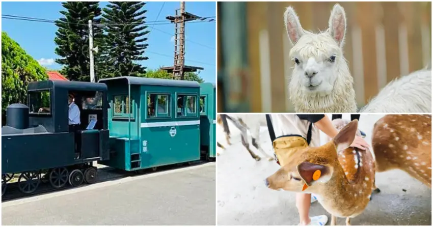 ▲宜蘭不只市區精彩,走進三星鄉鎮,更有森林鐵道、療癒農場等你探索!