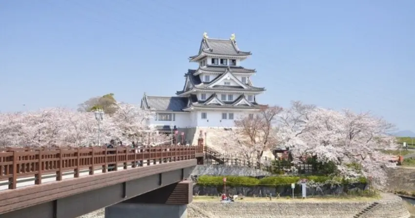 名古屋近郊賞櫻新選擇，嚴選5個岐阜賞櫻名所，大河劇戰國史蹟、1500年巨櫻超壯觀絕景不要錯過。