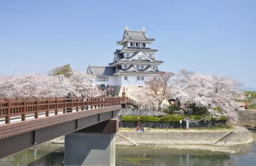 ▲墨俣一夜城周圍的犀川堤防沿線，種滿約800株櫻花，綿延3.7公里形成櫻花隧道。