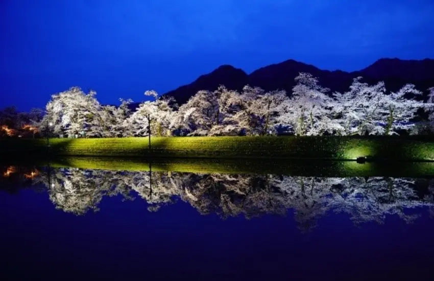▲3月下旬到4月下旬正是岐阜櫻花接力盛開的季節，不妨規劃一趟結合歷史與賞櫻的深度之旅。 