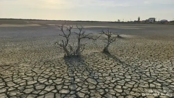 ▲台南自然景點推薦！頂山賞鳥亭廢棄鹽灘因乾涸呈現壯闊的龜裂奇景，來台南要去過。(攝影：部落客 阿萍阿裕玩樂誌)
