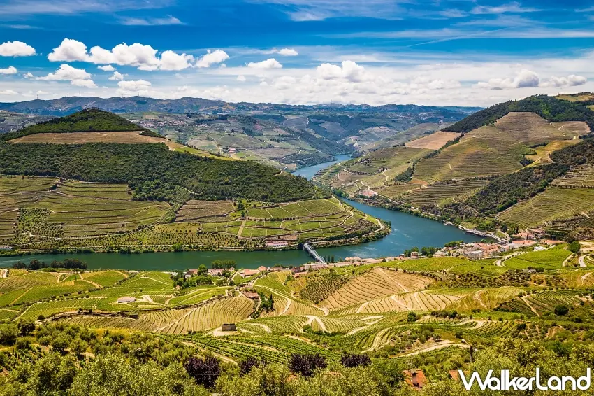 ▲雄獅推出葡萄牙杜羅河谷行程，帶旅客品味微醺的壯麗，閱讀流動的葡萄酒史詩 。圖／雄獅旅遊提供；窩客島編輯李維唐整理