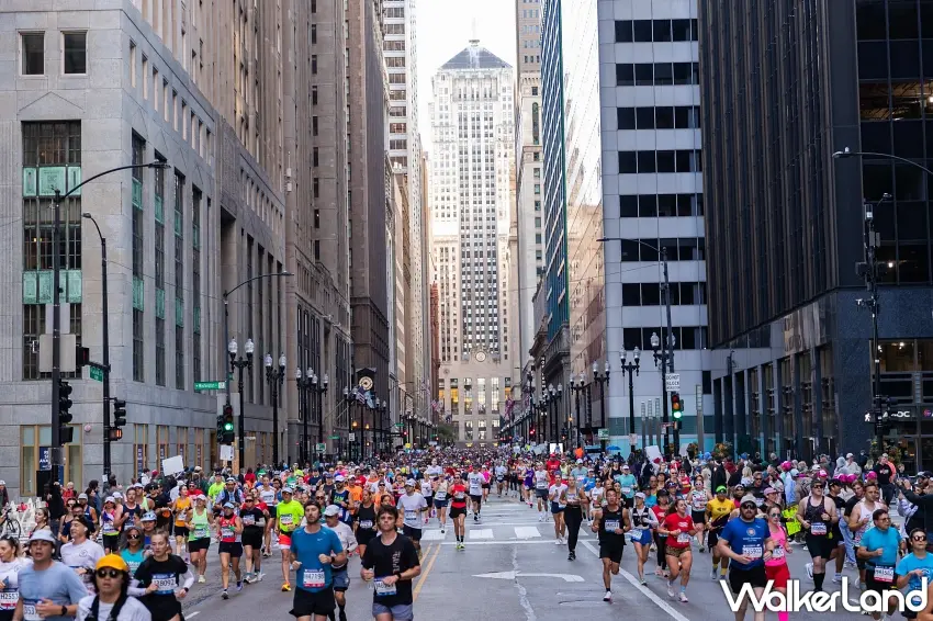 ▲雄獅憑藉「世界馬拉松官方授權」保證參賽名額，報名人數已較去年全年增長逾3成，今年再推世界七大滿貫賽事「芝加哥馬拉松8日」行程 。圖／雄獅旅遊提供；窩客島編輯李維唐整理
