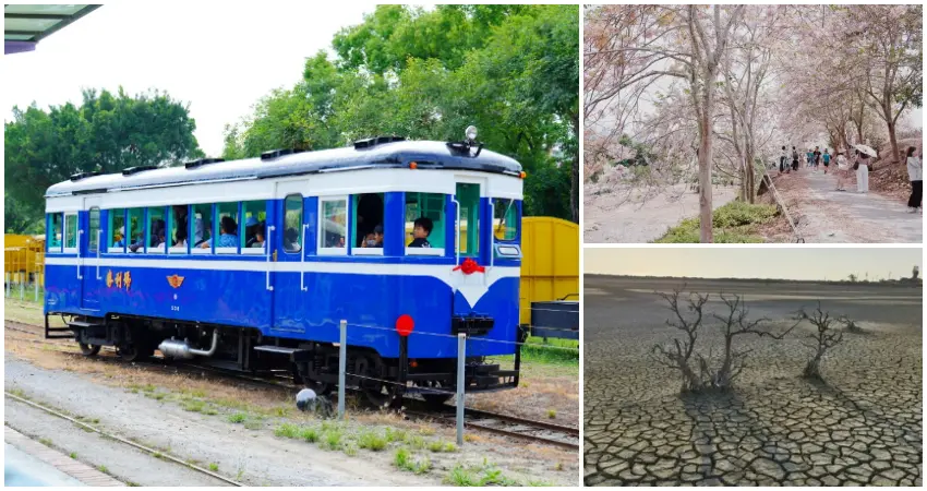 ▲台南景點推薦7選！粉紅花旗木花海步道、復古勝利號，台南景點必玩推薦。