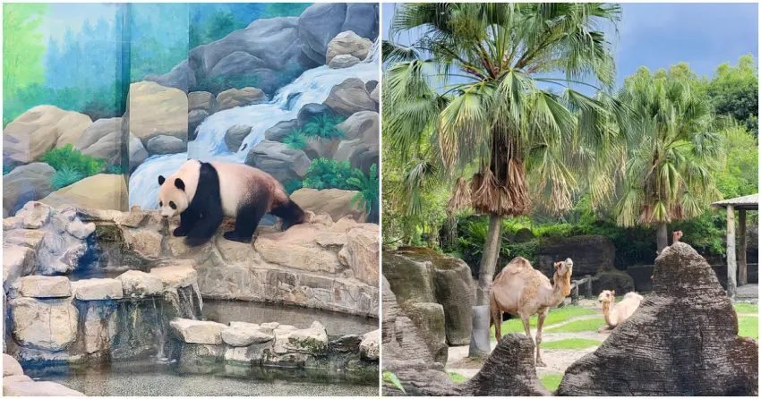 ▲「台北動物園」腹地遼闊,隨意漫步綠意園區,找回最純粹的童心與放鬆時光。