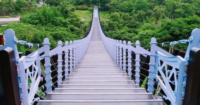 ▲「白石湖吊橋」的夢幻紫色外觀相當吸睛,無懸吊纜繩的設計行走起來穩定舒適,綠意山景療癒又好拍。