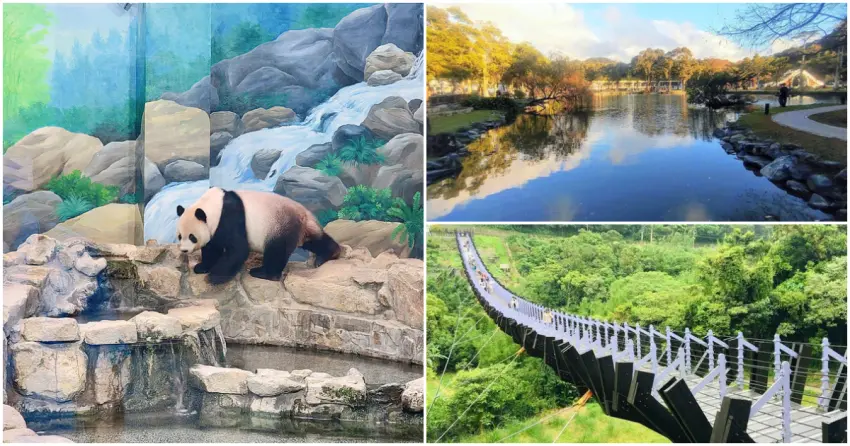 ▲不用開車也能輕鬆玩台北!搭上文湖線,將動物園、夢幻吊橋與湖畔公園通通串聯,一路暢遊城市綠意。