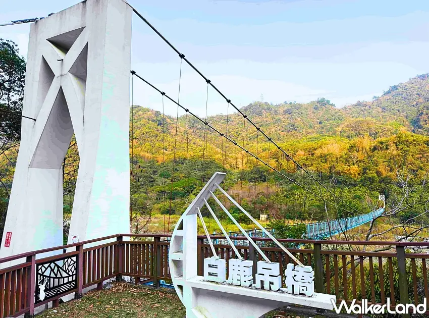 ▲前往統一谷關途中必經的白鹿吊橋，橫跨大甲溪的壯闊美景是家庭客最愛的打卡景點。圖／統一渡假村提供；窩客島整理