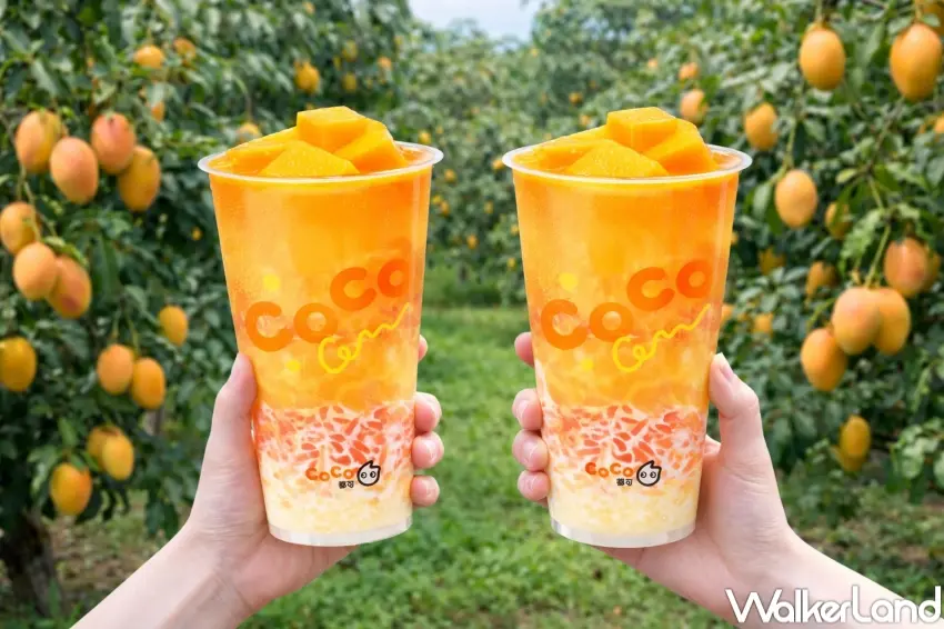▲CoCo都可推出百香雙響炮與2杯99活動，主打多款飲品優惠組合，讓粉絲在不同時段都能輕鬆入手清爽系飲品選擇。