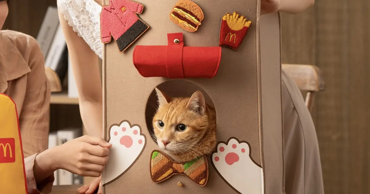 麥當勞貓窩必收！麥當勞APP升級送麥克鷄塊，麥粉市集開賣麥麥貓窩袋599元入手。