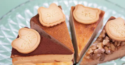 岡山爆紅貓咪起司蛋糕進軍東京，網路人氣店4/29新宿丸井本館開店。