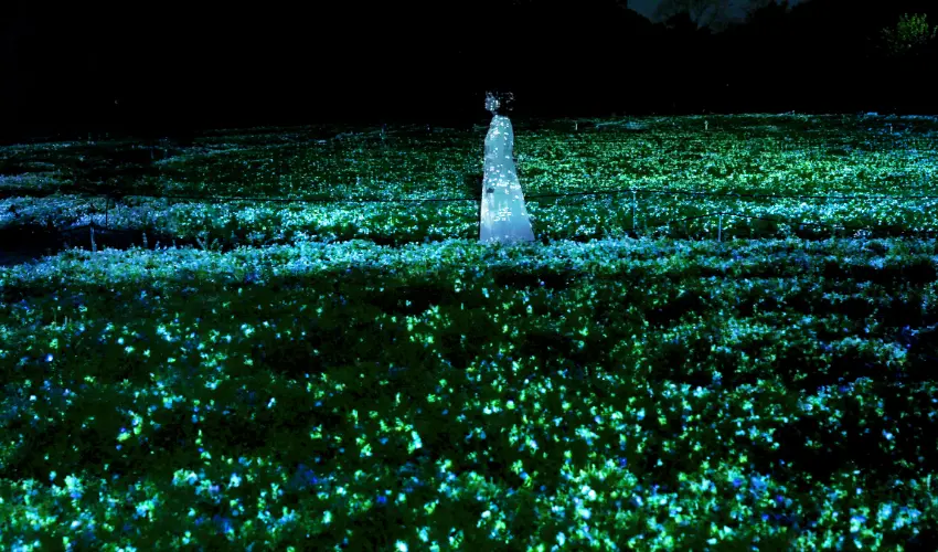 ▲受矚目的作品《生命是黑暗中浮現的閃爍光芒 - 粉蝶花》將光影與聲響傳遞給鄰近的花朵，在黑夜中形成一場不斷延展、永無止盡的生命脈動。