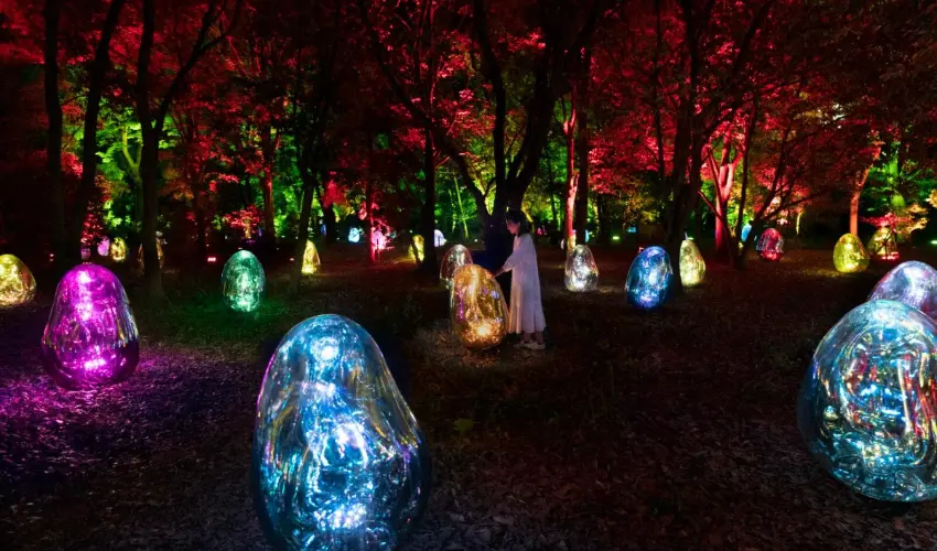 ▲無數卵形體在日落後自動甦醒，無論是風雨或是人手觸碰，它們都會呈現出如「液化」或「固化」般的神祕光澤。