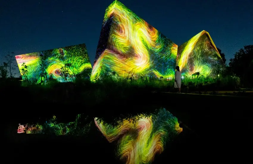 ▲將周圍鳥兒飛翔所產生的軌跡化作黑暗中的雕刻，呈現出生命動態的軌跡美學。 