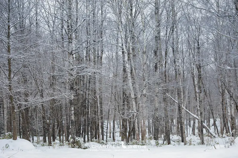 ▲GLAMPING STAY TOMAMU