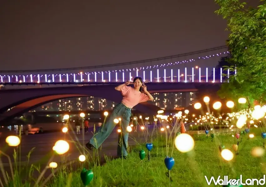 ▲碧潭草浪打卡美景,浪漫燈海裝置藝術吸引網美拍照。