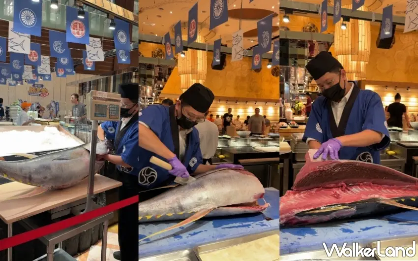 ▲職人於現場展示超震撼的鮪魚現切秀，從秤重到切片完整呈現季節旬味的鮮美精華。圖／豐FOOD提供；窩客島編輯李維唐整理