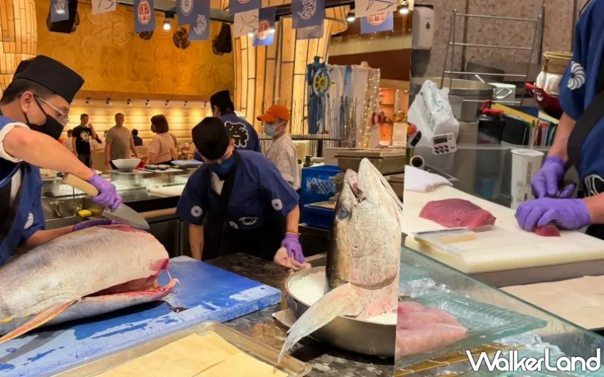 ▲專業廚師展現俐落刀工處理巨型鮪魚，將最精華的部位轉化為入口即化的生魚片饗宴。圖／豐FOOD提供；窩客島編輯李維唐整理