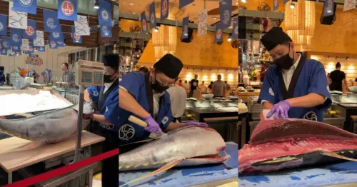 台北大直吃到飽推薦！豐FOOD鮪魚季限時登場，名字有鮪魚同音字享4人同行1人免費。