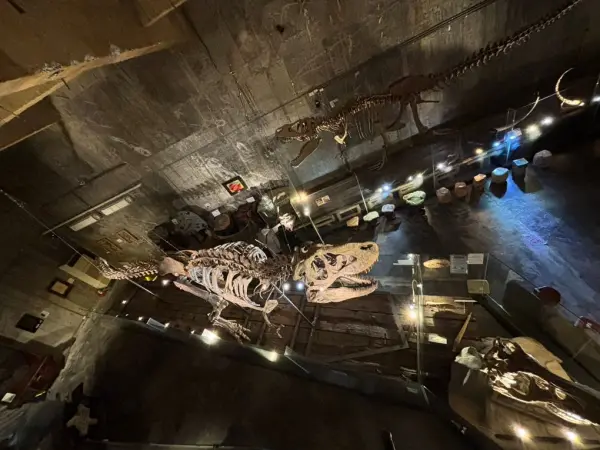 ▲宜蘭室內景點推薦「Robert Y廢墟暴龍館」，超震撼的巨型暴龍化石、VR虛擬實境、實境解謎全都有。(攝影：部落客 貝大小姐與瑞餚姐)