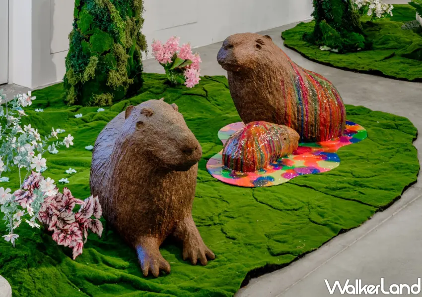 ▲台灣藝術家蔡潔莘運用紙漿雕塑打造療癒水豚，展現人與動物間的情感依附。