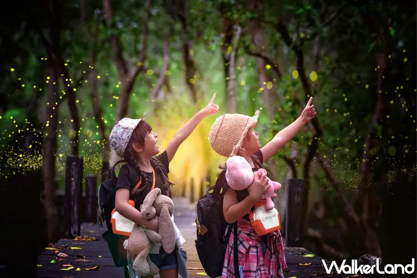 ▲台北晶華「春夜賞螢假期」住房專案將由生態專家帶領大小朋友，走入新北五股準園的螢光生態秘境，近距離觀察火金姑的迷人風采 。圖／台北晶華酒店提供；窩客島編輯李維唐整理