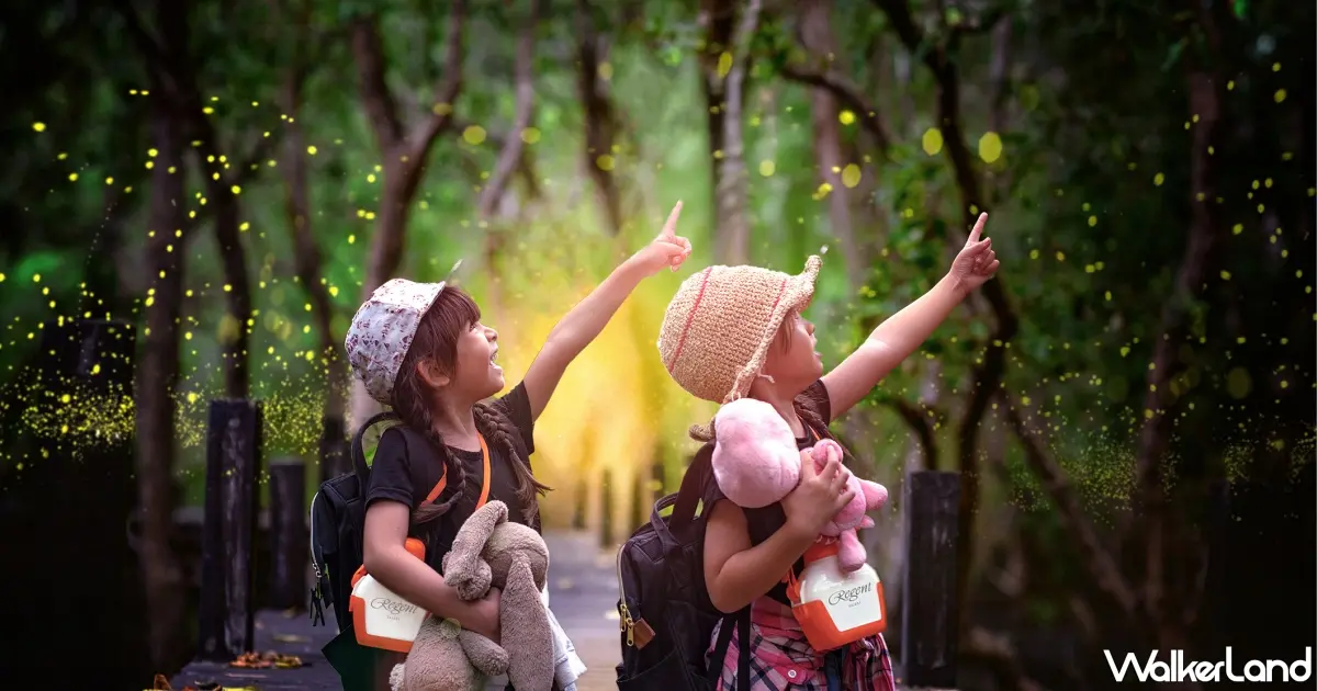 隱身大都會的綠寶石！台北晶華春夜賞螢假期，入住五星飯店、探索螢火蟲復育基地。