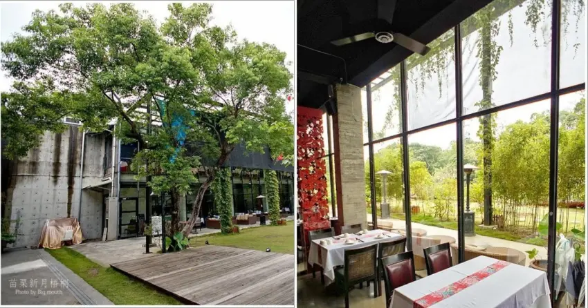 ▲「新月梧桐」被綠意環繞，庭園造景寬敞舒適，用餐時更能悠閒享受山林的愜意氛圍。
