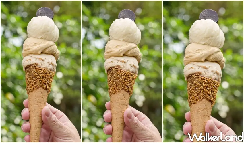 ▲阜杭豆漿米漿口味Gelato完美結合焦糖榛果碎,每一口都能品嚐到濃郁花生香氣與義式工藝的絲滑口感。