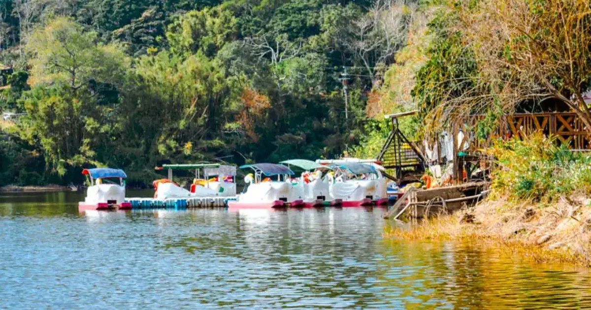 百萬人次搭過！湖畔天鵝船、鐵道自行車全收藏，苗栗三義一日遊玩法必看。