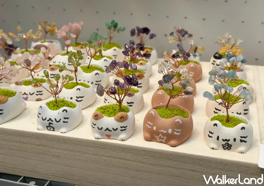 ▲2026台灣禮品文具展必買！多肉擴香石、貓咪水晶樹、彩虹屋聯名日本文具等創意小物。(攝影：鄭亦庭)