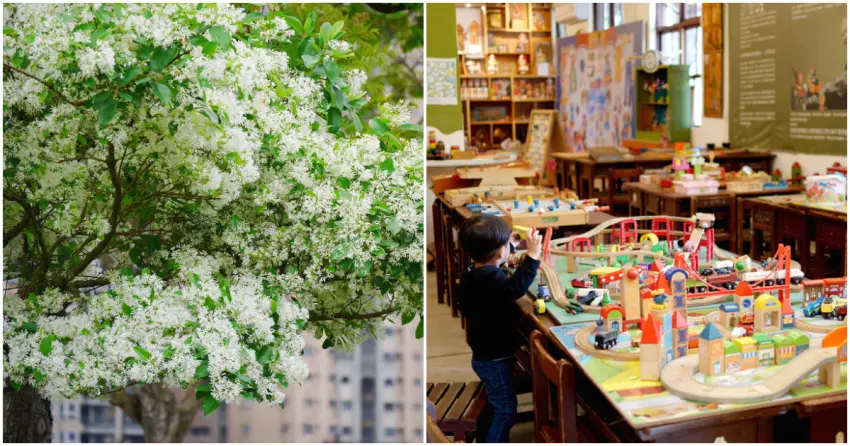 ▲假日搭環狀線追四月雪！記得順遊藝文空間與人氣甜點店，春日行程這樣玩準沒錯。