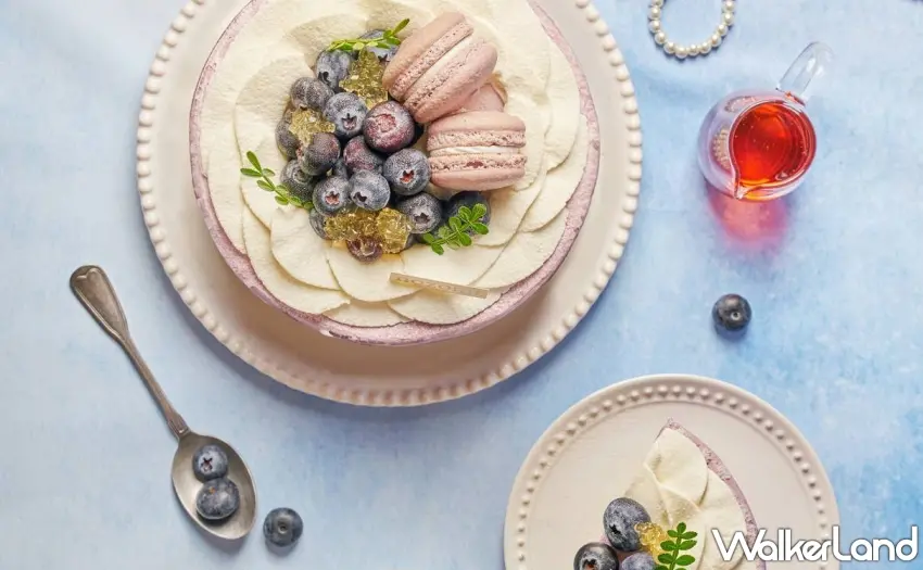 ▲以粉紫色波紋鮮奶油勾勒出浪漫律動，NOZOMI禾波制所母親節限定「藍莓娜德絲」展現優雅且寧靜的紫色花語。圖／NOZOMI BAKERY提供；窩客島編輯李維唐整理