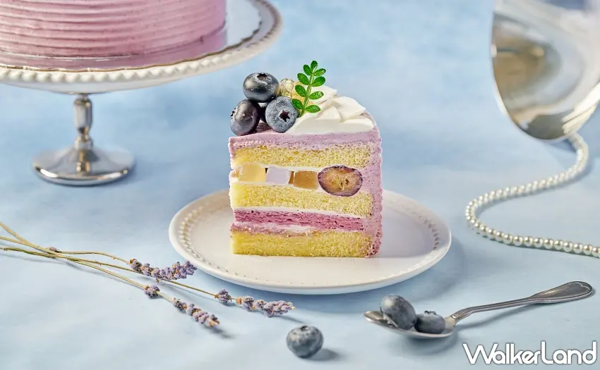 ▲單片特寫清楚可見飽滿的新鮮藍莓與晶瑩剔透的薰衣草果凍，每一口都能品嚐到「藍莓娜德絲」細膩且清新的層次美學。圖／NOZOMI BAKERY提供；窩客島編輯李維唐整理