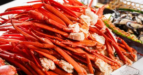 桃園謝師宴首選！COZZI Blu和逸飯店推出海洋系盛宴，早鳥預約享免服務費優惠。