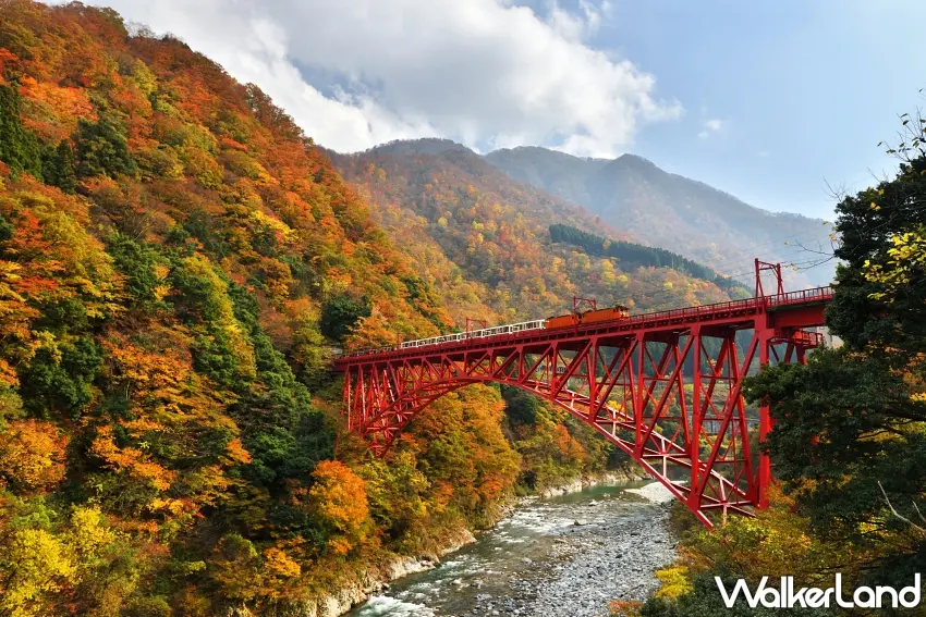 ▲日本黑部峽谷鐵道逍遙客車穿梭於壯麗的V字型峽谷與紅葉絕景之中 。圖／農業部林業及自然保育署阿里山林業鐵路及文化資產管理處提供；窩客島編輯李維唐整理