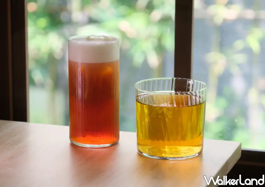 ▲大片玻璃窗引進療癒自然光，一邊啜飲清爽飲品一邊欣賞後院綠植，享受最 Chill 的午後時光。(攝影：鄭雅之)