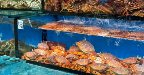 宜蘭頭城海鮮推薦！廟口海產小吃 必吃龍蝦粥、旭蟹，龜山島第一排海景餐廳。