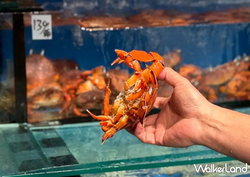 ▲清蒸旭蟹保留原始鮮甜，是大溪漁港經典海味（攝影：蕭芷琳）