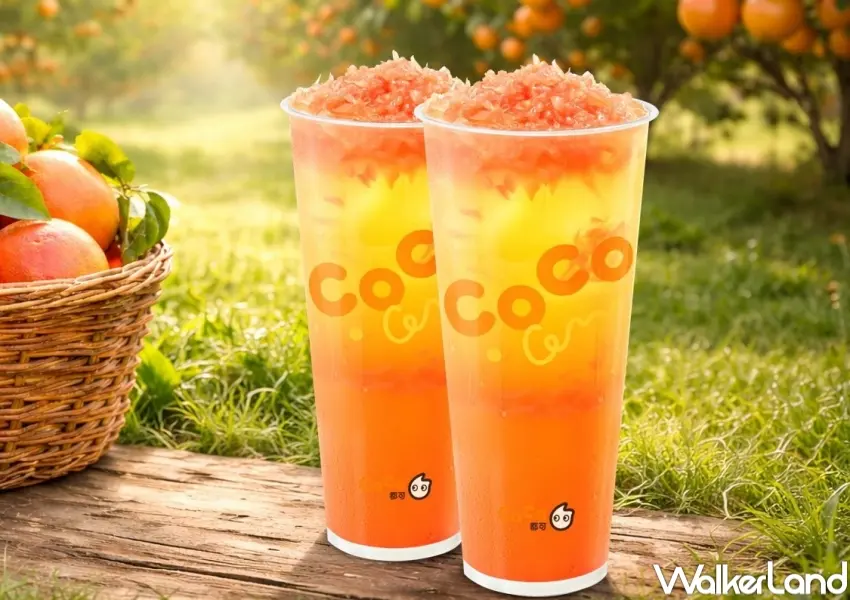 ▲CoCo都可主打清爽系飲品，以葡萄柚果粒茶成為粉絲週三療癒選擇之一，酸甜果香搭配茶韻帶來輕盈口感。