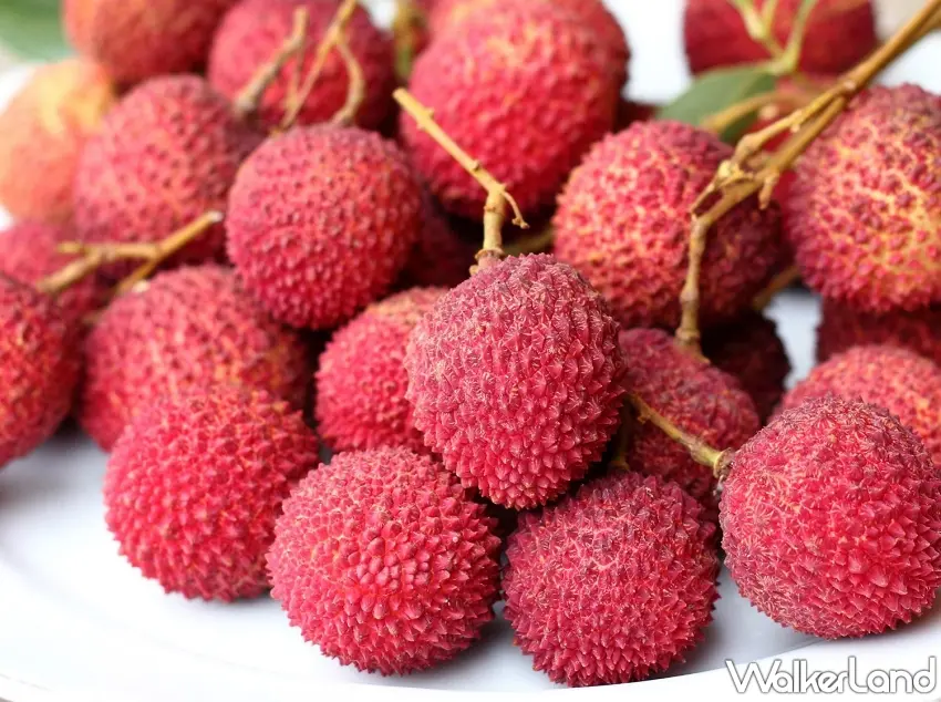 ▲高雄大樹玉荷包以肉厚核小聞名，為夏日限量珍品，推薦價1,200元，空運直送日本為2,900元 。圖／Breeze Super提供；窩客島整理